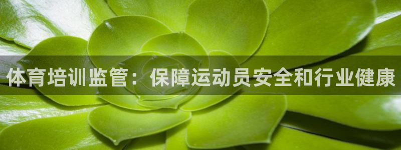 焦点娱乐公司：体育培训监管：保障运动员安全和行业健康