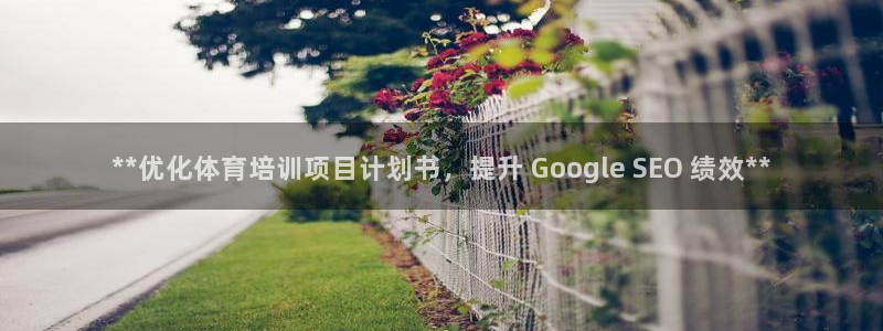 焦点娱乐财神：**优化体育培训项目计划书，提升 Go
