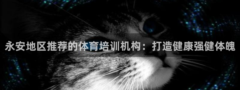 焦点娱乐股东持股比例：永安地区推荐的体育培训机构：打