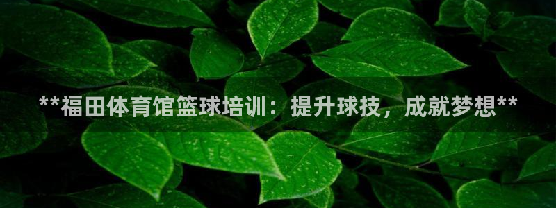 焦点娱乐平台业7O777：**福田体育馆篮球培训：提
