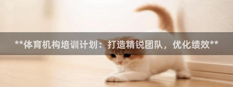 焦点娱乐平台注册账号是什么样的：**体育机构培训计划