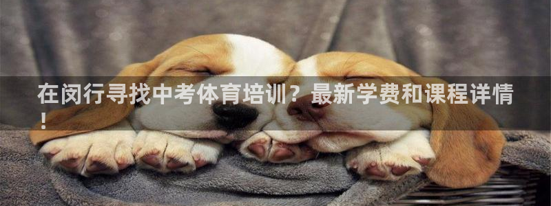 焦点娱乐app下载苹果版官网：在闵行寻找中考体育培训