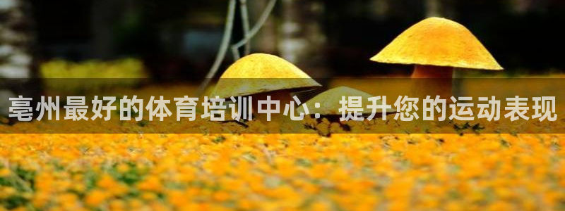 焦点娱乐网站下载地址是多少：亳州最好的体育培训中心：