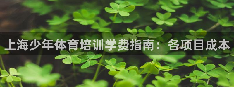 焦点娱乐官网下载安装：上海少年体育培训学费指南：各项