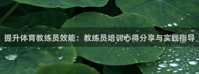 焦点娱乐传媒有限公司是干嘛的啊：提升体育教练员效能：