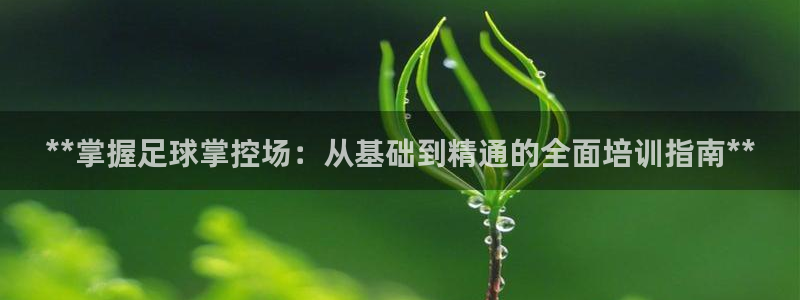 焦点娱乐app下载官网最新版苹果：**掌握足球掌控场