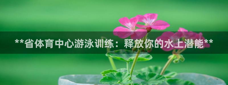 焦点娱乐传媒有限公司招聘电话：**省体育中心游泳训练