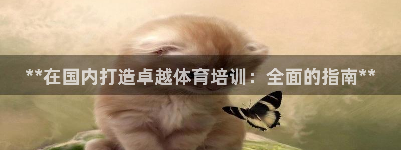 焦点娱乐平台注册账号怎么注销不了：**在国内打造卓越