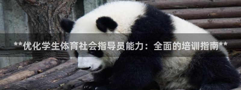 焦点娱乐游戏攻略视频：**优化学生体育社会指导员能力