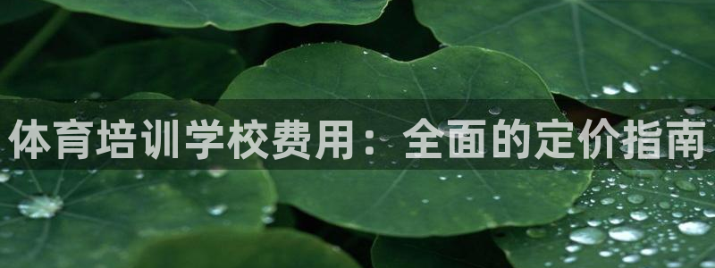 焦点娱乐全国总冠军都有谁：体育培训学校费用：全面的定