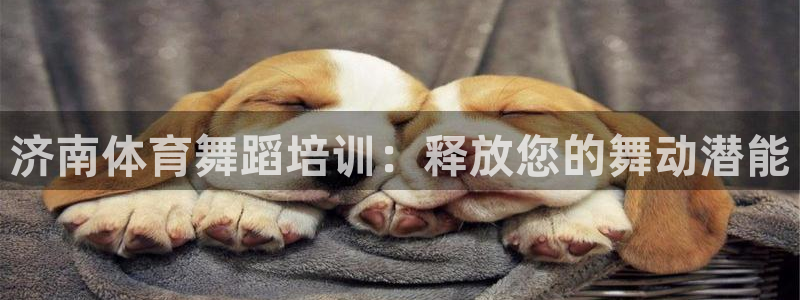 焦点娱乐官方网站下载安装最新版：济南体育舞蹈培训：释放您的舞