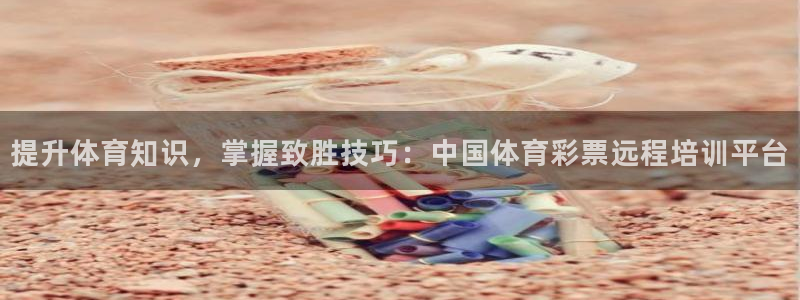 焦点娱乐官方网站首页入口在线观看：提升体育知识，掌握