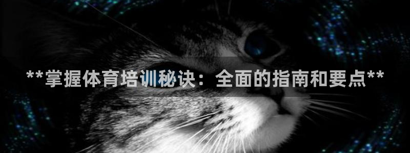 焦点平台娱乐：**掌握体育培训秘诀：全面的指南和要点