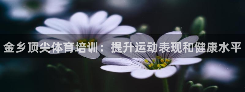 焦点娱乐负责人：金乡顶尖体育培训：提升运动表现和健康