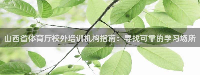 焦点娱乐官方网站下载手机版：山西省体育厅校外培训机构