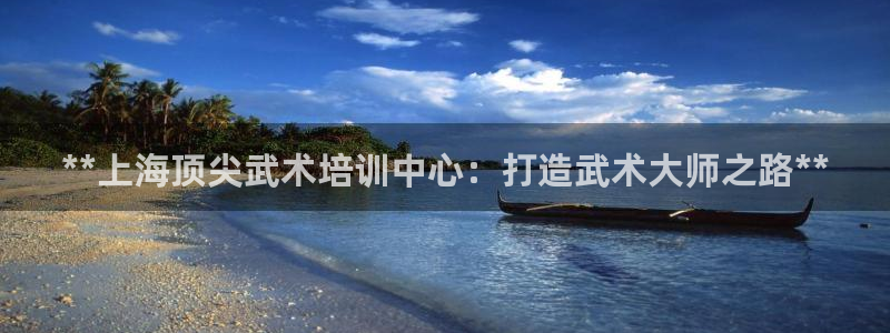 焦点娱乐官方网站入口在线观看视频：**上海顶尖武术培