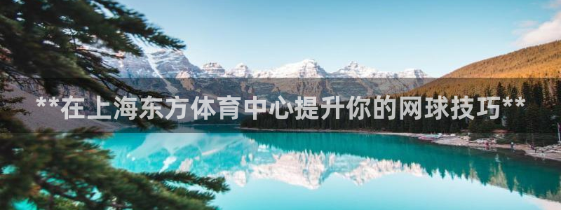 焦点娱乐有限公司官网：**在上海东方体育中心提升你的网球技巧