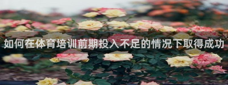 焦点娱乐官方网站下载安装最新版：如何在体育培训前期投