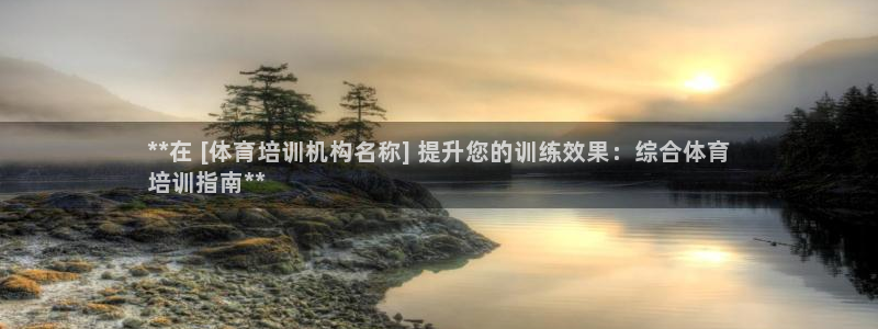 焦点娱乐有限公司：**在 [体育培训机构名称] 提升