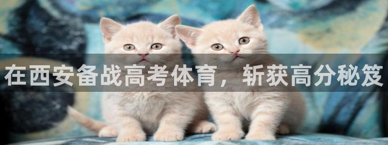 焦点娱乐官网首页入口：在西安备战高考体育，斩获高分秘