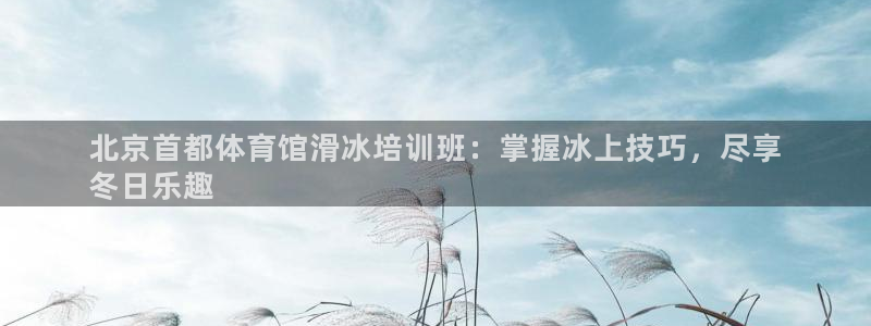 焦点娱乐拉菲11月11日：北京首都体育馆滑冰培训班：