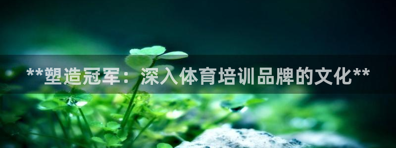 焦点娱乐官方网站首页下载：**塑造冠军：深入体育培训