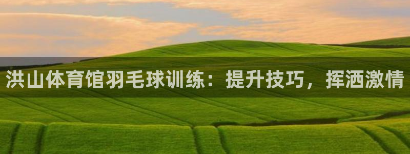 焦点娱乐跨服怎么玩：洪山体育馆羽毛球训练：提升技巧，