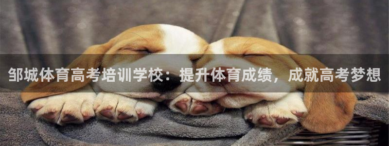 焦点娱乐怎么找导师：邹城体育高考培训学校：提升体育成