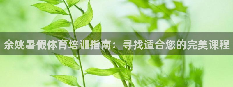 焦点娱乐官网下载安装手机版最新：余姚暑假体育培训指南