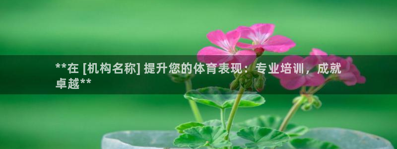 焦点娱乐平台供7O777：**在 [机构名称] 提升