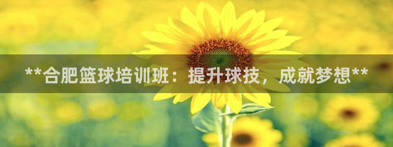 焦点娱乐官方网站下载：**合肥篮球培训班：提升球技，