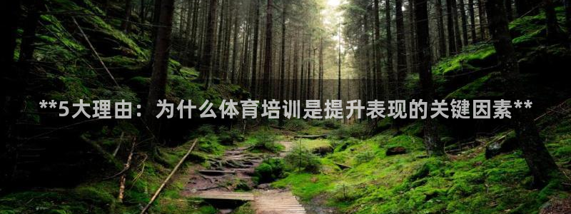 焦点娱乐股东：**5大理由：为什么体育培训是提升表现的关键因