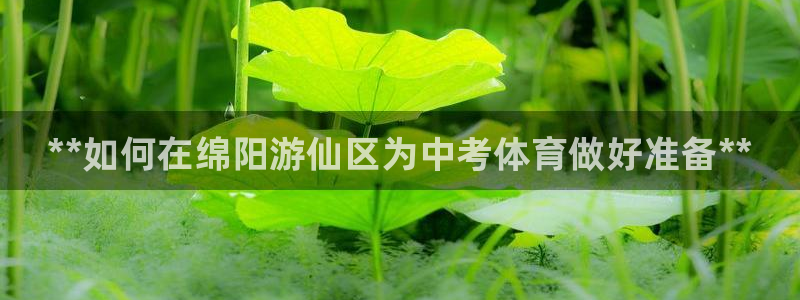 焦点娱乐app下载苹果版官网：**如何在绵阳游仙区为