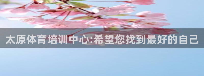 焦点娱乐平台怎么样