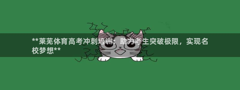 焦点娱乐app下载官网苹果：**莱芜体育高考冲刺培训：助力考