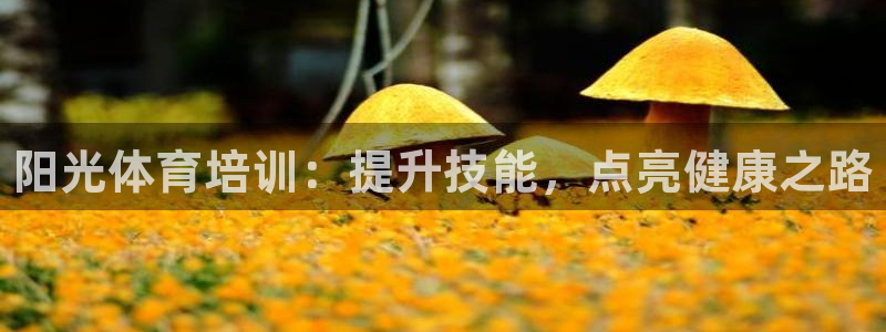 焦点娱乐网