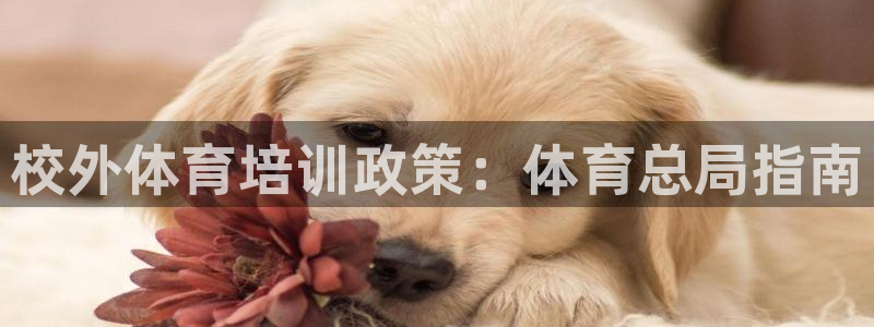 焦点娱乐app下载官网苹果版：校外体育培训政策：体育总局指南