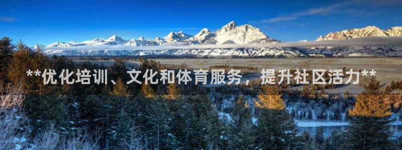焦点娱乐跨服：**优化培训、文化和体育服务，提升社区活力**