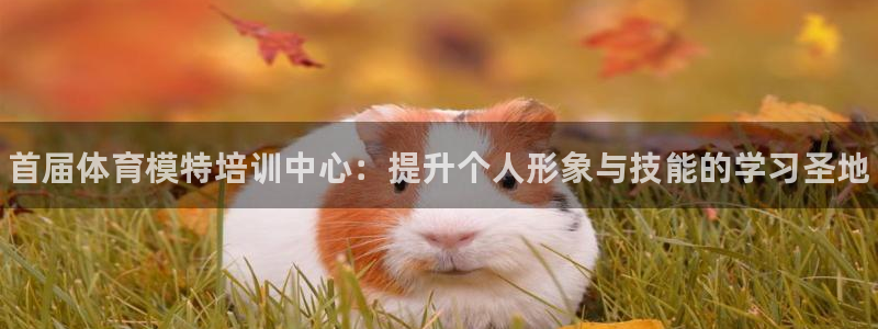 焦点娱乐平台客服电话人工服务：首届体育模特培训中心：提升个人