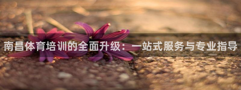 焦点娱乐游戏怎么玩：南昌体育培训的全面升级：一站式服