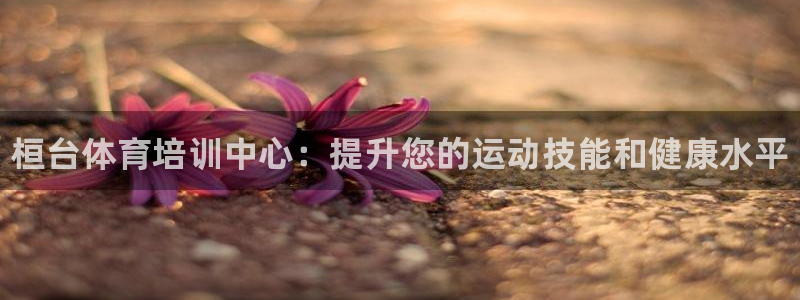 焦点娱乐平台是正规的吗：桓台体育培训中心：提升您的运