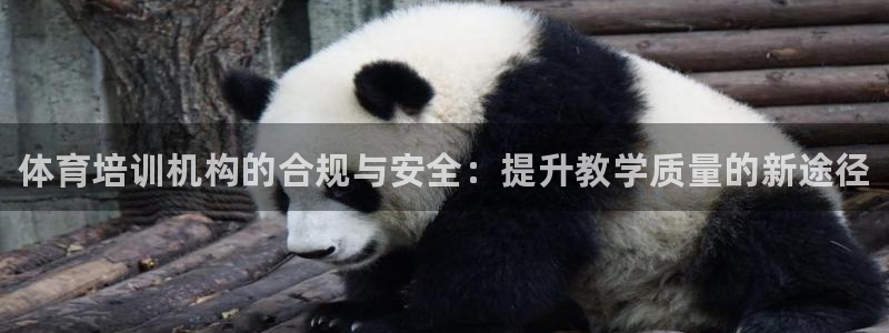 焦点娱乐游戏：体育培训机构的合规与安全：提升教学质量