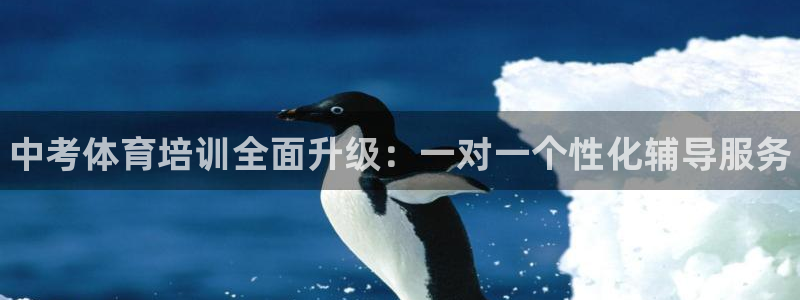 焦点娱乐平台注册账号是什么意思：中考体育培训全面升级