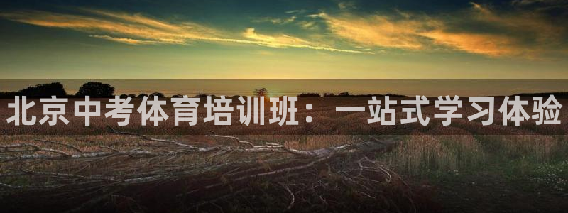 焦点娱乐app下载安装方式：北京中考体育培训班：一站式学习体