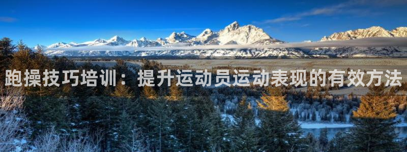 焦点娱乐平台客服电话号码