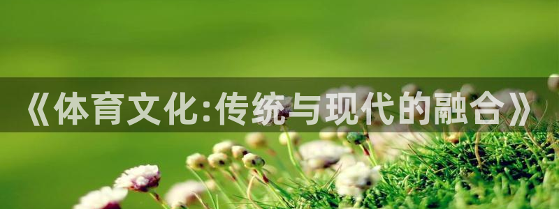 焦点娱乐怎么找客服：《体育文化:传统与现代的融合》