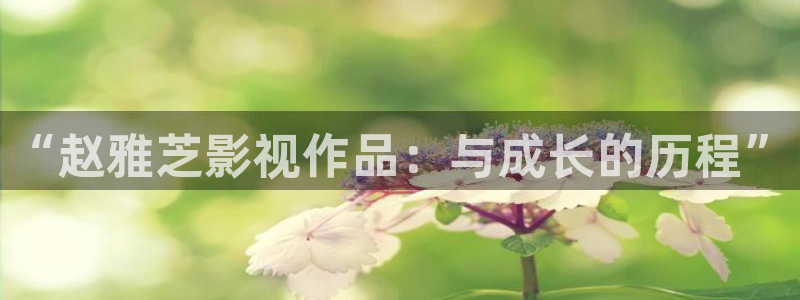 小小影剧