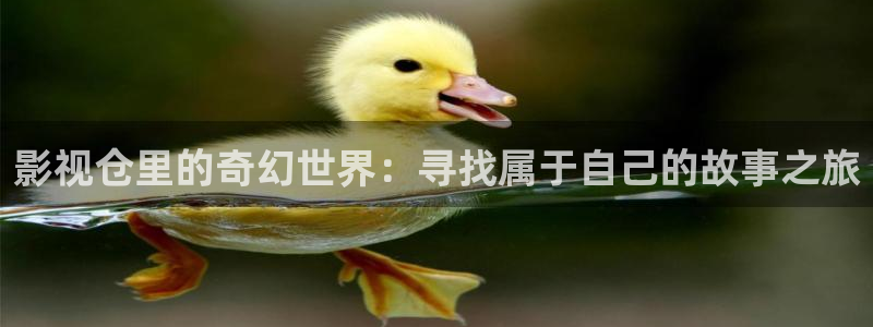 ,小小影视