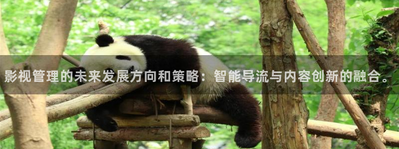 小小影视 影视大全