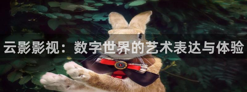 小小影视 tv版